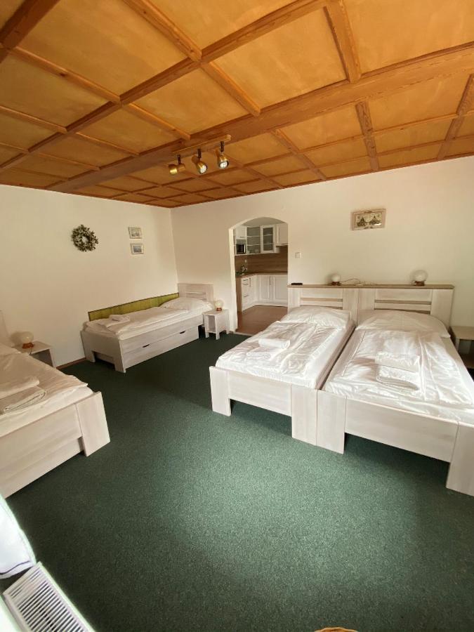 Penzion U Pesku Horní Planá Buitenkant foto