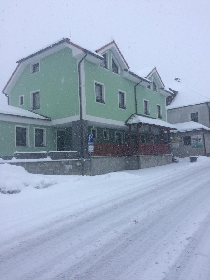 Penzion U Pesku Horní Planá Buitenkant foto