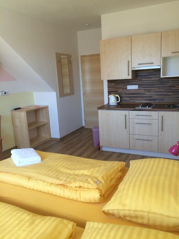 Penzion U Pesku Horní Planá Buitenkant foto