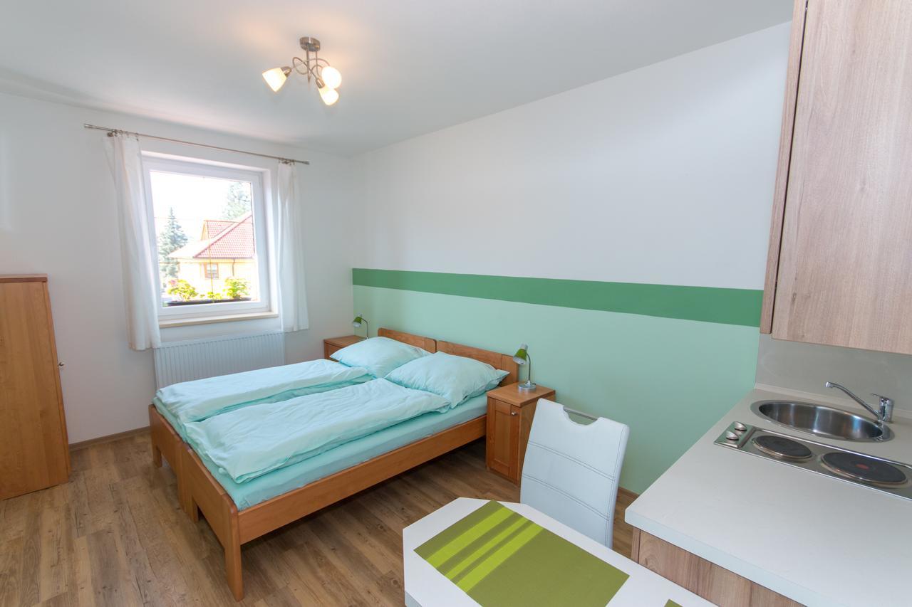 Penzion U Pesku Horní Planá Buitenkant foto