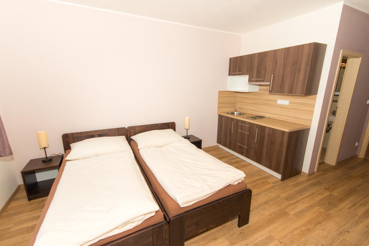 Penzion U Pesku Horní Planá Buitenkant foto